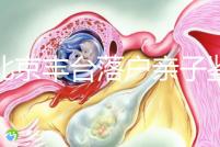 在北京豐臺落戶親子鑒定的地方，首先了解2024年的最新政策