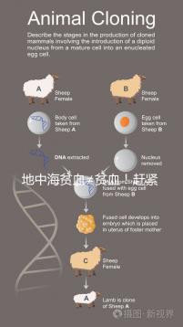 地中海貧血≠貧血!趕緊來(lái)看看地貧和貧血有什么區(qū)別