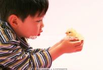 你知道試管空卵泡的原因和癥狀是否會消失嗎？