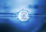 供卵試管嬰兒選擇好醫院是關鍵,泰國好的生殖中心有這些