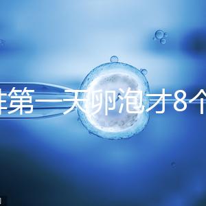 促排第一天卵泡才8個別慌,怎么辦、多大正常一文說清