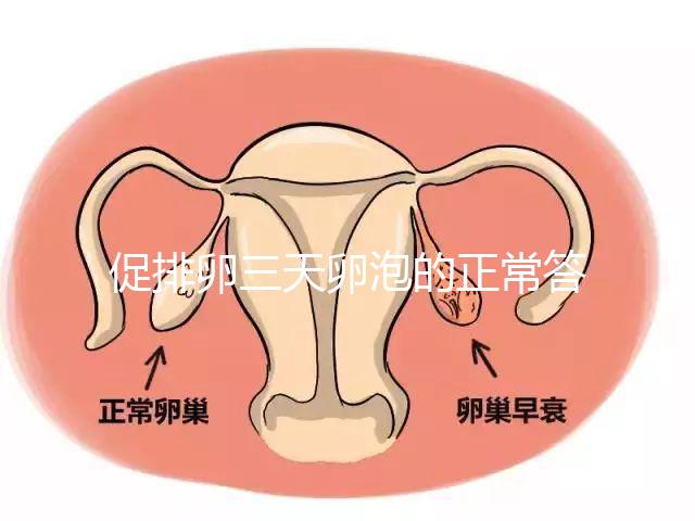 促排卵三天卵泡的正常答案是什么?取出8毫米卵原細胞的時間