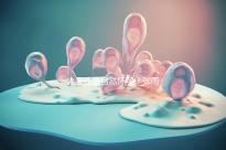 人工還是自然懷孕？張雨綺龍鳳胎惹爭議