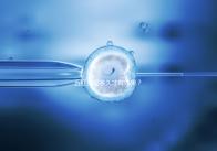 五紅湯喝多久才有效果？讓喝過的人告訴你！