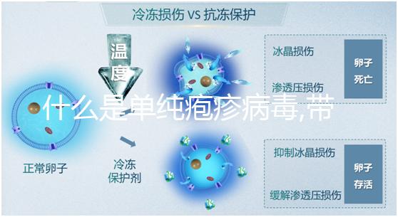 什么是單純皰疹病毒,帶狀皰疹瘙癢