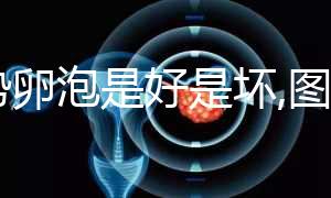 優(yōu)勢卵泡是好是壞,圖片僅供認(rèn)識,判斷還需要3點(diǎn)