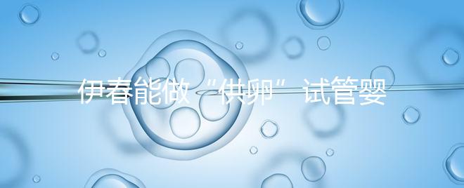 伊春能做“供卵”試管嬰兒嗎？你們想知道的答案在這里