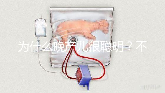 為什么晚產(chǎn)兒很聰明?不要被智商比同齡人高誤導(dǎo)