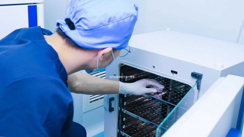 為什么選擇精子庫?單身女性推崇精子銀行的4個理由