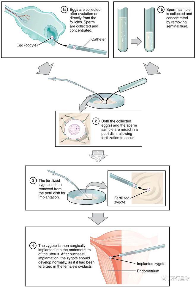 不知欽州哪家男科醫院好戳,機構能不能一目了然
