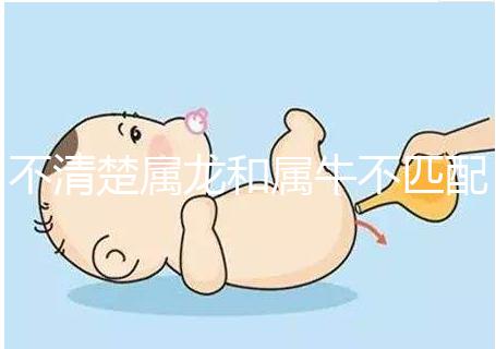 不清楚屬龍和屬牛不匹配戳,再一起看財(cái)運(yùn)就夠了