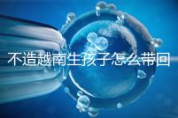 不造越南生孩子怎么帶回國戶口？流程和資料都有