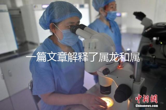 一篇文章解釋了屬龍和屬兔的人能否在一起，他們將如何全部包括在內(nèi)