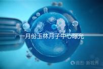 一月份玉林月子中心曝光多少錢?不要錯過2024年福綿三家公司的口碑