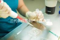 三代條件限制嚴！盤點國內為什么限制三代試管嬰兒？