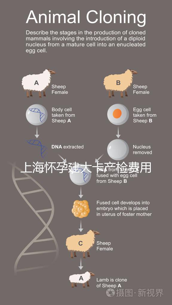上海懷孕建大卡產(chǎn)檢費(fèi)用分享,不同地區(qū)收費(fèi)標(biāo)準(zhǔn)差別大!