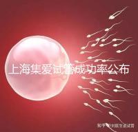 上海集愛試管成功率公布,排名輕松進(jìn)入全國前二十!