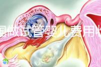 中國做試管嬰兒費用收費價目表一覽,包含具體成本預算