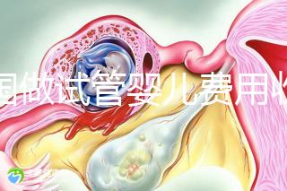 中國做試管嬰兒費(fèi)用收費(fèi)價(jià)目表一覽,包含具體成本預(yù)算