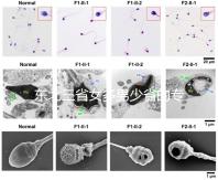 東北三省女多男少省的專業解讀原因1:1真沒開玩笑