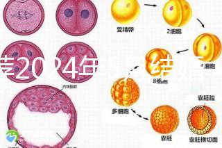 推薦2024年5月結婚的良辰吉日，最吉利的要數(shù)…