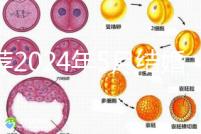 推薦2024年5月結婚的良辰吉日，最吉利的要數…