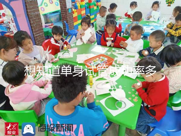 想知道單身試管成功率多少看這，過來人真實(shí)案例揭秘真相