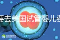 想要去美國試管嬰兒費用要花多少錢？2025年費用明細！