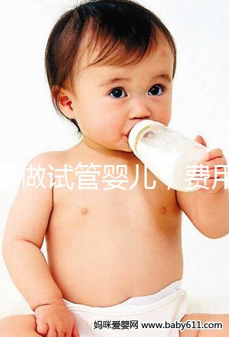 想要做試管嬰兒，費用預算大概是多少？