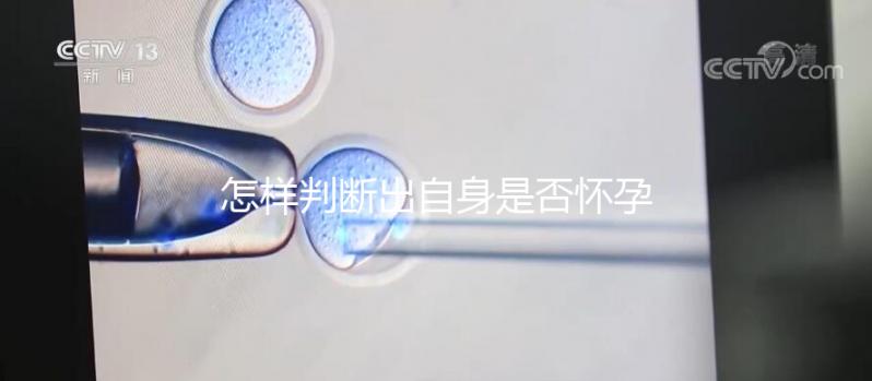 怎樣判斷出自身是否懷孕