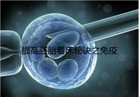 提高胚胎著床秘訣之免疫球蛋白，移植前后注射作用竟不同