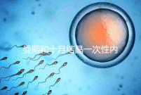 曼熙和十月結晶一次性內衣哪個好看就知道了，女生都來看