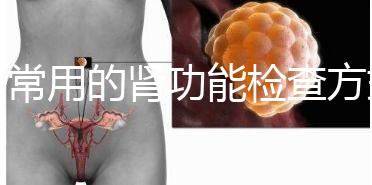 最常用的腎功能檢查方式匯總，抽血驗尿必不可少