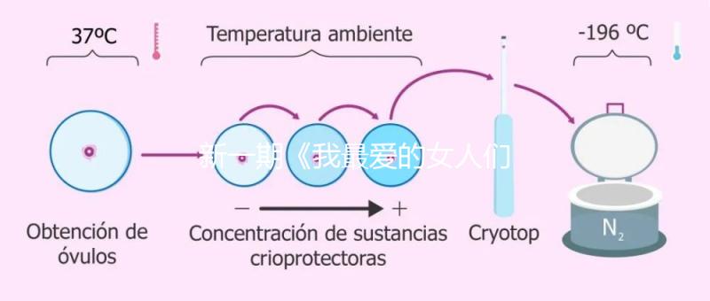 新一期《我最愛的女人們》，蔡少芬自曝第一胎曾小產