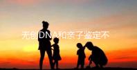 無創DNA和親子鑒定不是一碼事,所謂高準確率并不可信