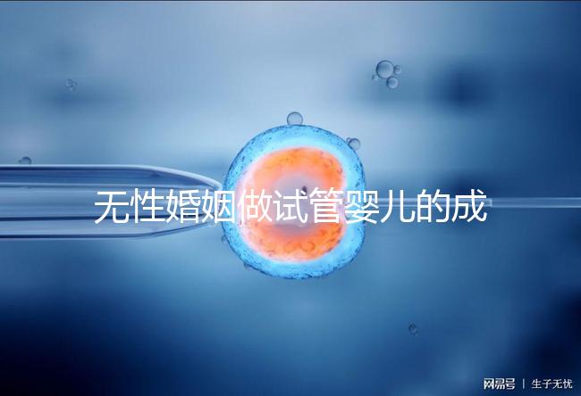 無(wú)性婚姻做試管嬰兒的成功率2024,一文說(shuō)清有沒(méi)有用