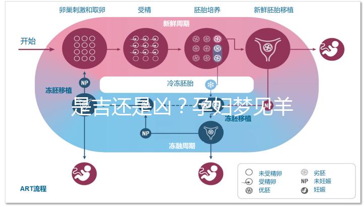 是吉還是兇?孕婦夢(mèng)見羊的8種象征意義全解析
