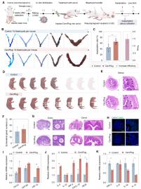 正式做試管嬰兒前，了解下北京協和醫院生殖中心怎么樣吧！