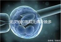 武漢協(xié)和醫(yī)院無痛分娩多少錢答案在這,住院一天費用不高