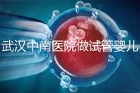 武漢中南醫(yī)院做試管嬰兒需要多少錢:2025年這些試管收費有變動