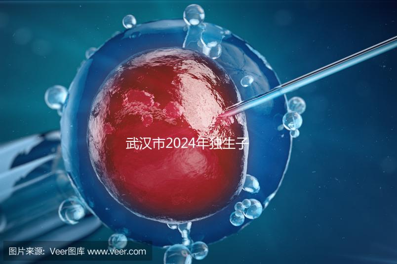 武漢市2024年獨生子女補貼政策已經實施,領取流程更加規(guī)范