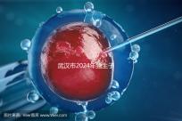 武漢市2024年獨生子女補貼政策已經實施,領取流程更加規范