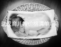 武漢育兒嫂價(jià)格清單,2024年橋口等正規(guī)機(jī)構(gòu)不要錯(cuò)過