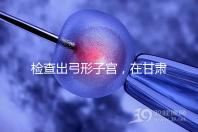 檢查出弓形子宮，在甘肅玉門能做試管嬰兒懷孕嗎？