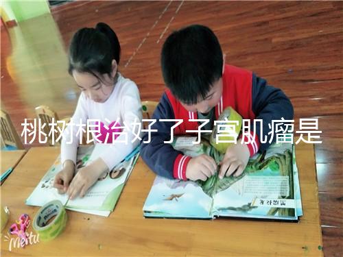 桃樹(shù)根治好了子宮肌瘤是謠言？和豬肉一起吃效果真不賴(lài)