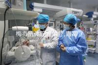 梅毒抗體陽性治療,青霉素