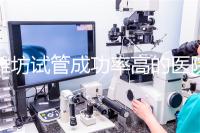 濰坊試管成功率高的醫院推薦，排名前十助孕機構技術嘎嘎好