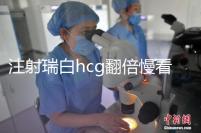 注射瑞白hcg翻倍慢看這，從原因著手告訴你解決辦法