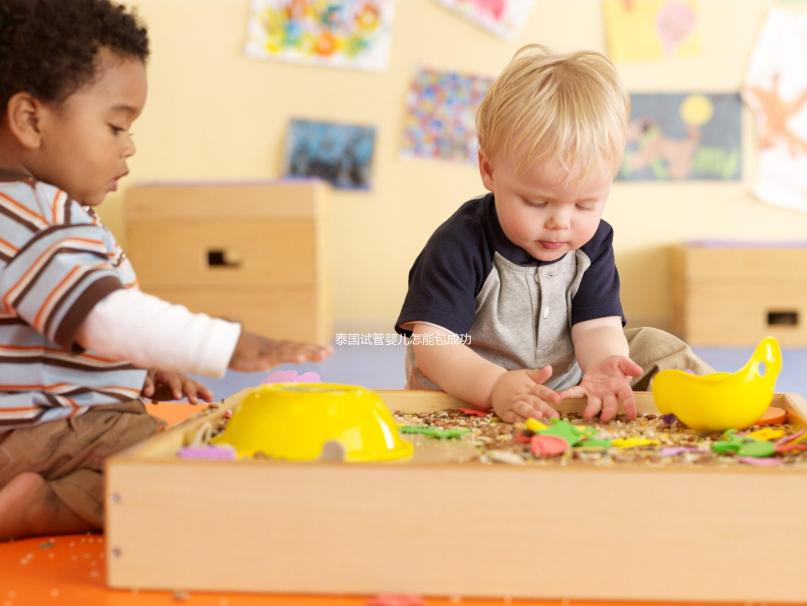 泰國試管嬰兒怎能包成功、定制生育，來看看胚胎實(shí)驗(yàn)室