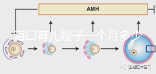 ?？谟齼荷┳右粋€(gè)月多少錢，哪個(gè)好答案總結(jié)，新手父母必須看
